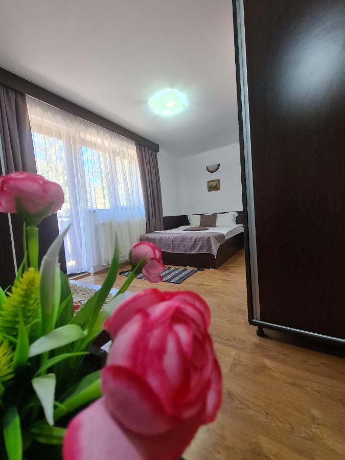Casa Teleferic Hotel Buşteni Eksteriør billede