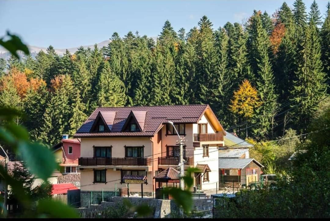 Casa Teleferic Hotel Buşteni Eksteriør billede